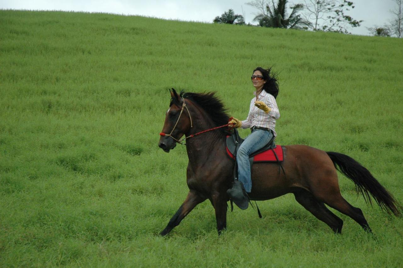 La Finca Lodge La Fortuna Kültér fotó